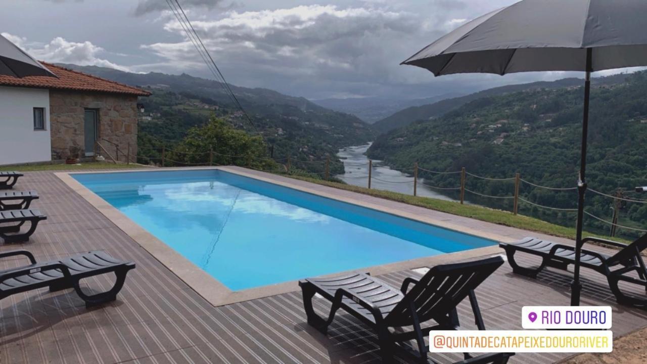 Quinta De Catapeixe Douro River Magrelos 外观 照片