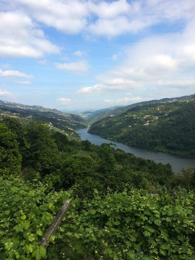 Quinta De Catapeixe Douro River Magrelos 外观 照片