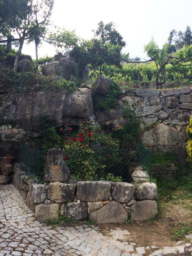 Quinta De Catapeixe Douro River Magrelos 外观 照片