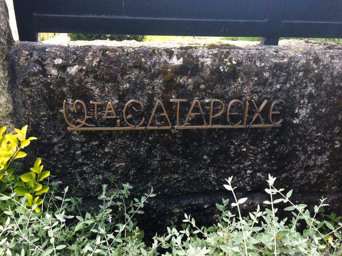 Quinta De Catapeixe Douro River Magrelos 外观 照片