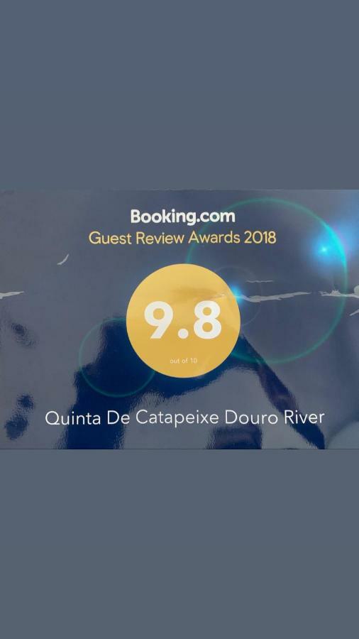 Quinta De Catapeixe Douro River Magrelos 外观 照片