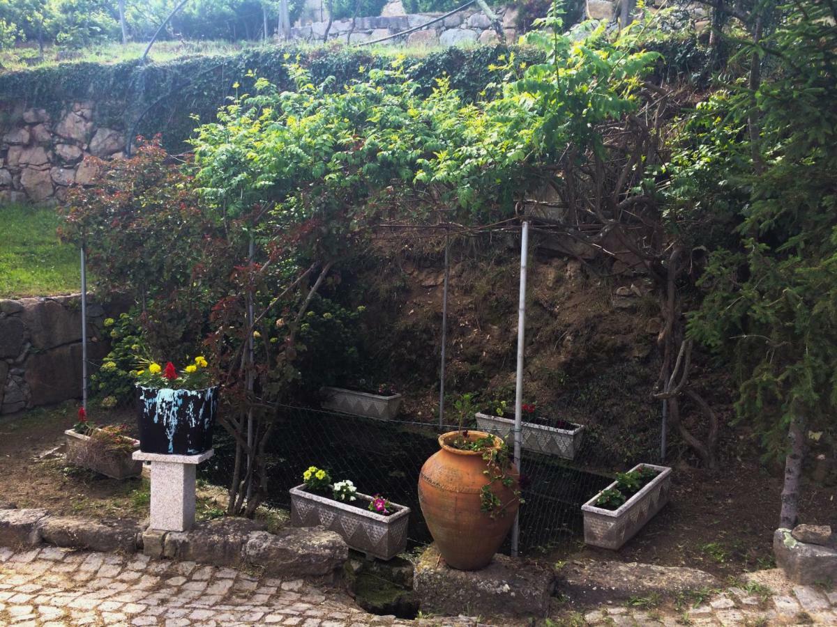 Quinta De Catapeixe Douro River Magrelos 外观 照片